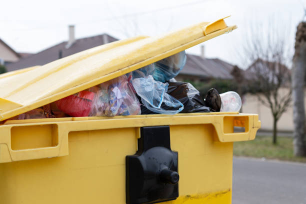 Trusted Seneca, MO Junk Removal Experts